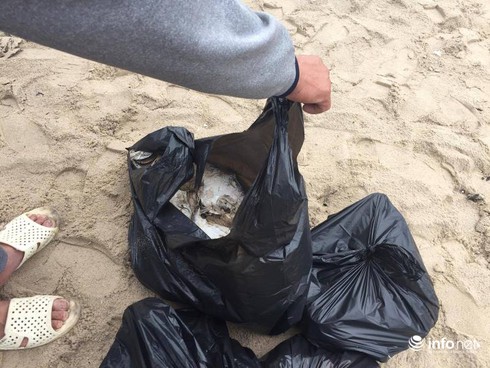 Hà Tĩnh: Xuất hiện cá chết trôi dạt vào bờ biển Vũng Áng - ảnh 3