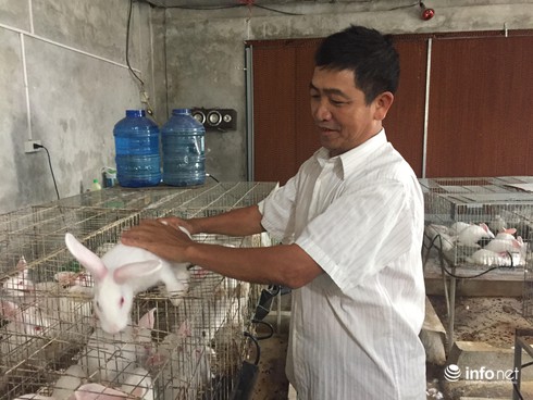 Hà Tĩnh: Chuyện về những lão ngư làm giàu từ nghề… nuôi thỏ - ảnh 1