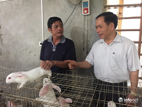 Hà Tĩnh: Chuyện về những lão ngư làm giàu từ nghề… nuôi thỏ - ảnh 3