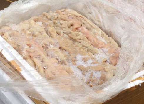 Thanh Hóa: Bắt xe tải vận chuyển 4,5 tấn nội tạng thối đi tiêu thụ - ảnh 2