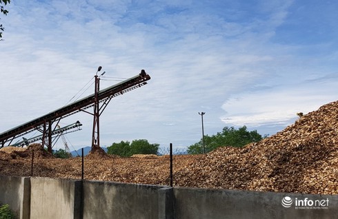 Nhà máy dăm Cty Thanh Thành Đạt cách nhà 1 bức tường, dân kêu trời không thấu - ảnh 3