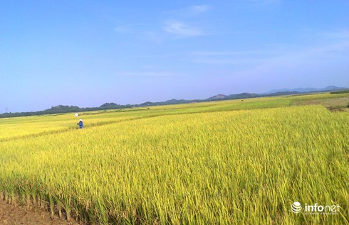Về huyện