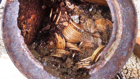 Những phát hiện kỳ thú khó tin được tìm thấy từ sân vườn - ảnh 1