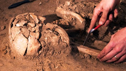 Những phát hiện kỳ thú khó tin được tìm thấy từ sân vườn - ảnh 9