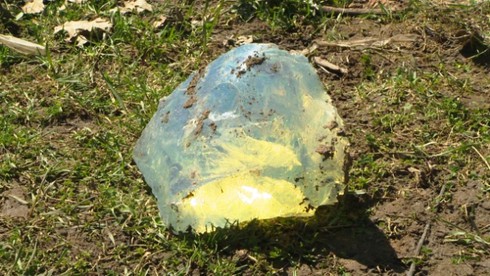 Những phát hiện kỳ thú khó tin được tìm thấy từ sân vườn - ảnh 26