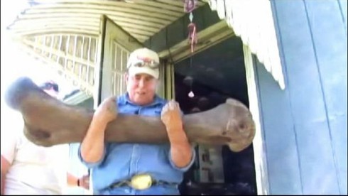 Những phát hiện kỳ thú khó tin được tìm thấy từ sân vườn - ảnh 23