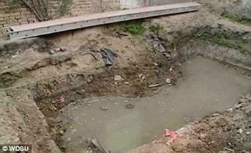 Những phát hiện kỳ thú khó tin được tìm thấy từ sân vườn - ảnh 5