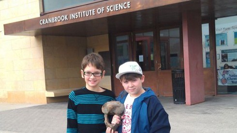 Những phát hiện kỳ thú khó tin được tìm thấy từ sân vườn - ảnh 6