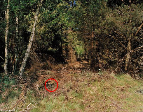 Quân đội Mỹ thử nghiệm áo ngụy trang tàng hình mới - ảnh 1