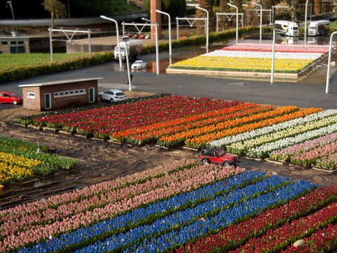 Thú vị đất nước Hà Lan thu nhỏ như trong truyện Doraemon - ảnh 9