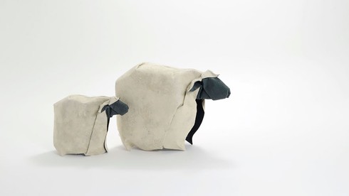 Nghệ thuật gấp giấy ướt của nghệ sĩ Việt Nam nổi danh nước ngoài - ảnh 5