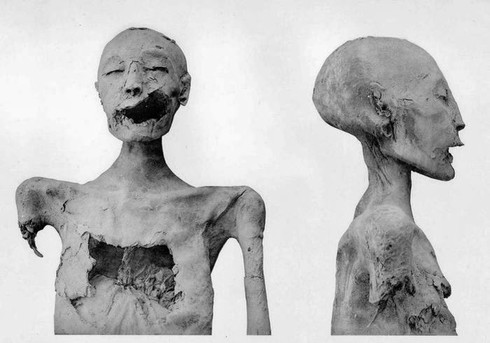 Lăng mộ của nữ hoàng Ai Cập Nefertiti đã được tìm thấy? - ảnh 2