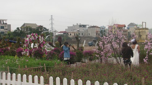 Phong phanh chụp ảnh cưới trong rét buốt - ảnh 3