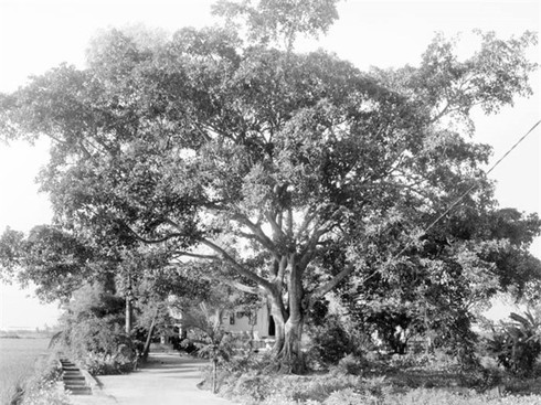 Kỳ lạ miếu Bà linh thiêng, miếu Ông bị sét đánh nhiều lần - ảnh 1