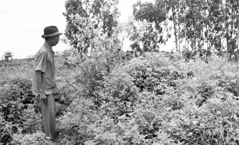 Kỳ lạ miếu Bà linh thiêng, miếu Ông bị sét đánh nhiều lần - ảnh 2