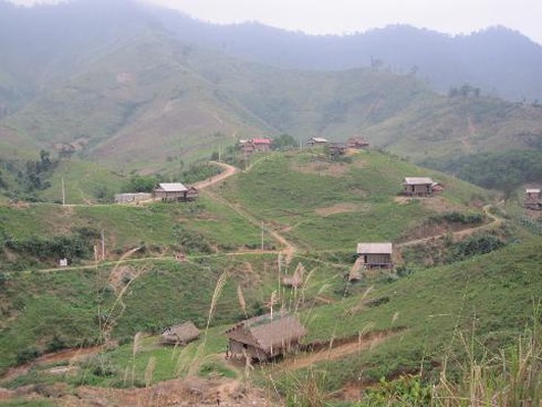 Nơi chết rồi vẫn phải... cưới - ảnh 1