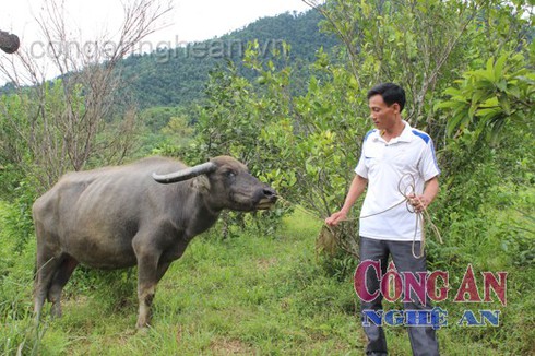Ra tay tàn độc đâm chém đẫm máu đàn trâu - ảnh 2