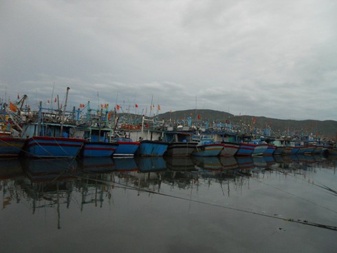 Bình Định: Tàu thuyền giằng néo tránh bão số 8 - ảnh 1