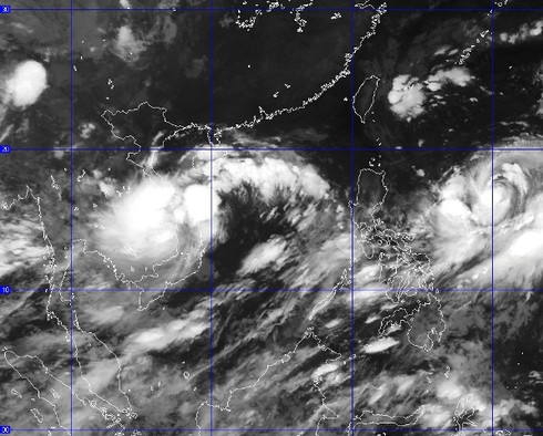 Tin bão số 8 mới nhất trưa 18/9: Mưa to, biển động dữ dội - ảnh 1