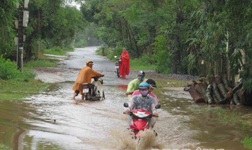 Bão số 8 nhấn chìm 800 ngôi nhà ở Quảng Trị - ảnh 1