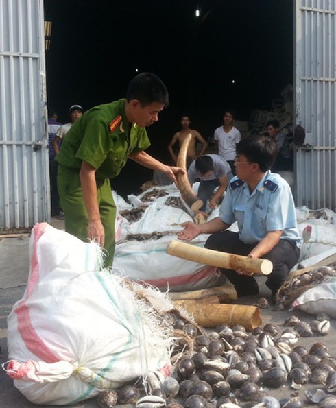 2 tấn nghi là ngà voi bị phát hiện trong container - ảnh 1