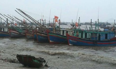 Thông tin bão số 12 tới tàu thuyền Bình Định - ảnh 1
