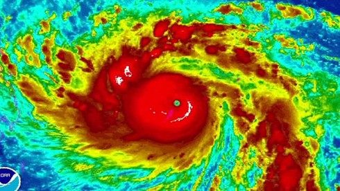 Tin bão Haiyan (bão số 14) mới nhất sáng 8/11: Hướng vào Thừa Thiên Huế – Bình Định - ảnh 1