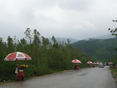 Tạm ngừng viếng mộ Đại tướng để làm lễ 49 ngày - ảnh 9