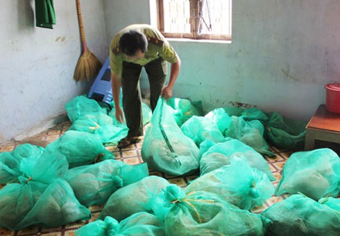 Vụ xe cấp cứu vận chuyển tê tê: Phạt 450 triệu đồng - ảnh 1