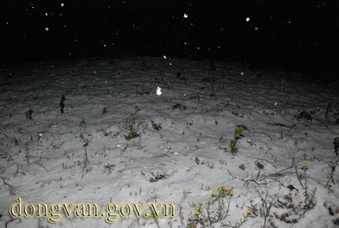 Tuyết rơi sớm ở Đồng Văn: Dày nhất trong vòng 10 năm - ảnh 11