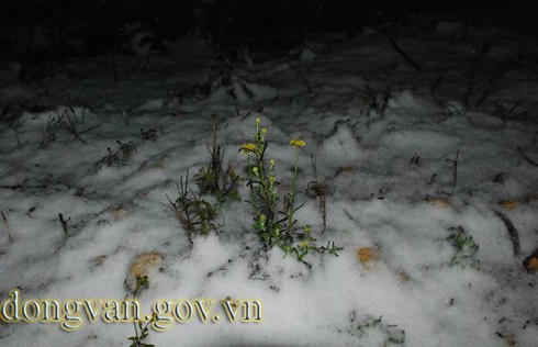 Tuyết rơi sớm ở Đồng Văn: Dày nhất trong vòng 10 năm - ảnh 10