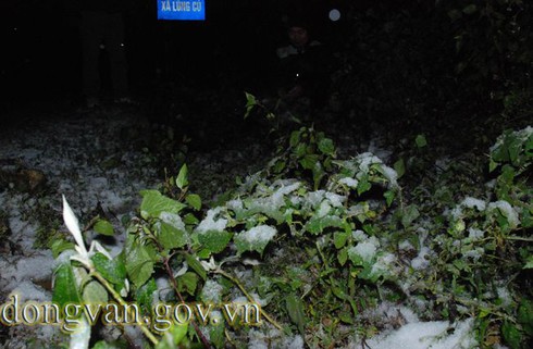 Tuyết rơi sớm ở Đồng Văn: Dày nhất trong vòng 10 năm - ảnh 8