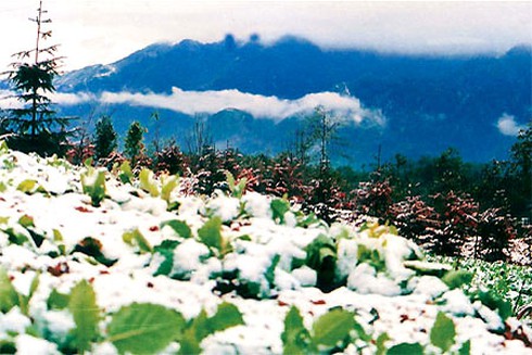 Dự báo thời tiết 18/1: Không khí lạnh tăng cường - ảnh 1