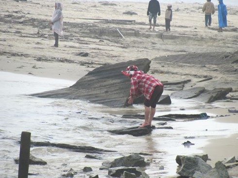 Chìm tàu cá, 3 người chết, 1 người mất tích - ảnh 6