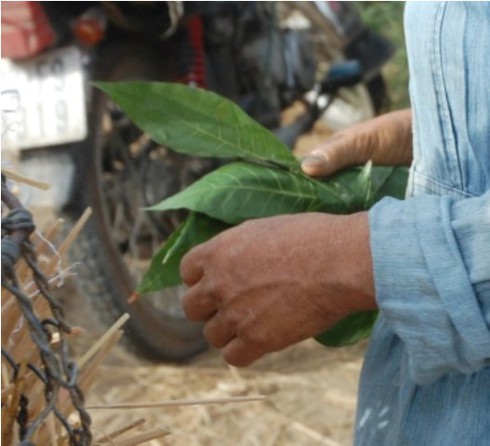 Đi chợ ẵm heo lấy hên - ảnh 11