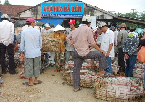 Đi chợ ẵm heo lấy hên - ảnh 16