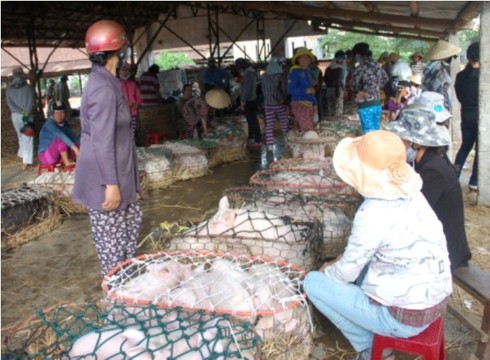 Đi chợ ẵm heo lấy hên - ảnh 17