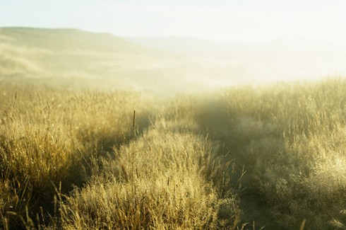 Dự báo thời tiết 22/1: Hà Nội có nắng, rét đậm - ảnh 1