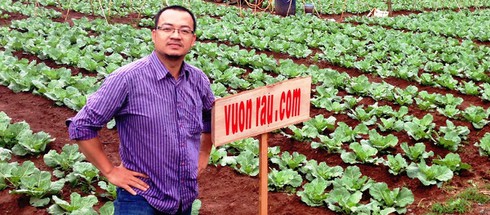 Vườn rau cắm biển bán qua