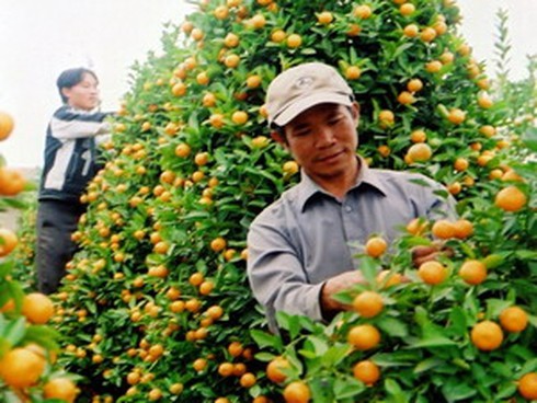 Tin thời tiết Tết Giáp Ngọ: Hà Nội 15 - 26 độ C - ảnh 1