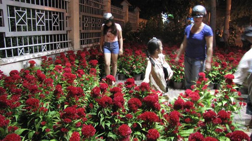 Không khí đón giao thừa Giáp Ngọ 2014 - ảnh 77