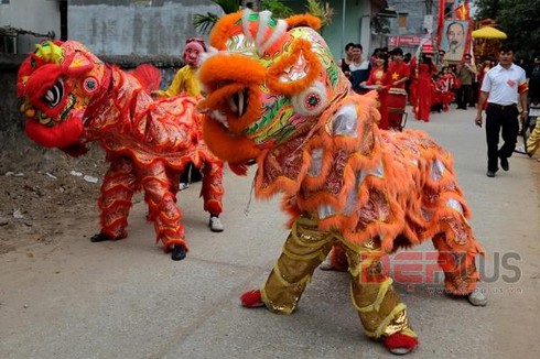 Rùng mình lễ hội chém lợn làng Ném Thượng - ảnh 9