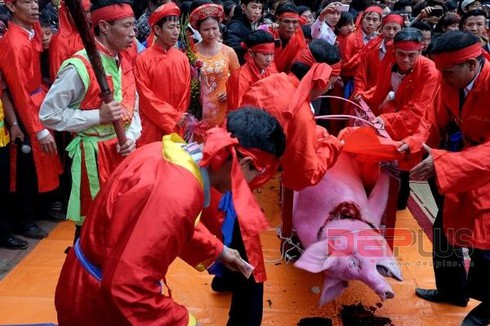 Rùng mình lễ hội chém lợn làng Ném Thượng - ảnh 14