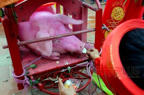 Rùng mình lễ hội chém lợn làng Ném Thượng - ảnh 11