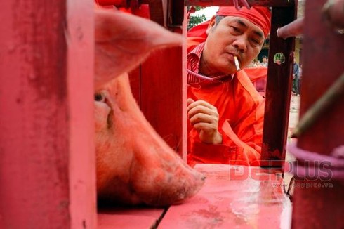 Rùng mình lễ hội chém lợn làng Ném Thượng - ảnh 12