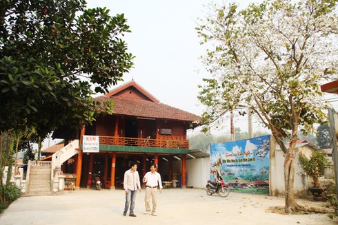 Đẹp ngỡ ngàng hoa ban Tây Bắc - ảnh 7