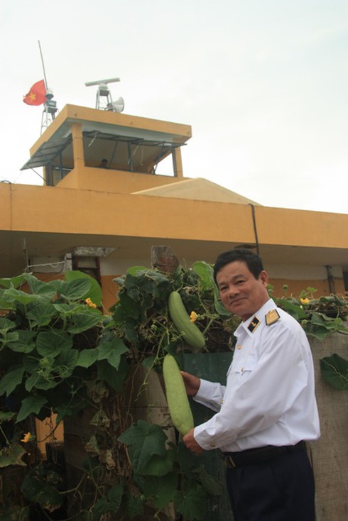 Cách trồng cây độc nhất vô nhị trên đảo Trường Sa - ảnh 6