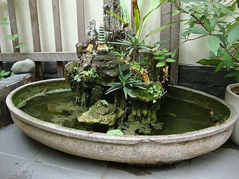 Gây án mạng chỉ vì hòn non bộ - ảnh 1