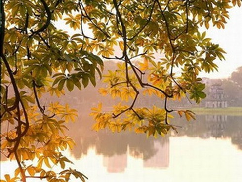 Dự báo thời tiết ngày 26/3: Hà Nội hửng nắng, gió đông nam - ảnh 1