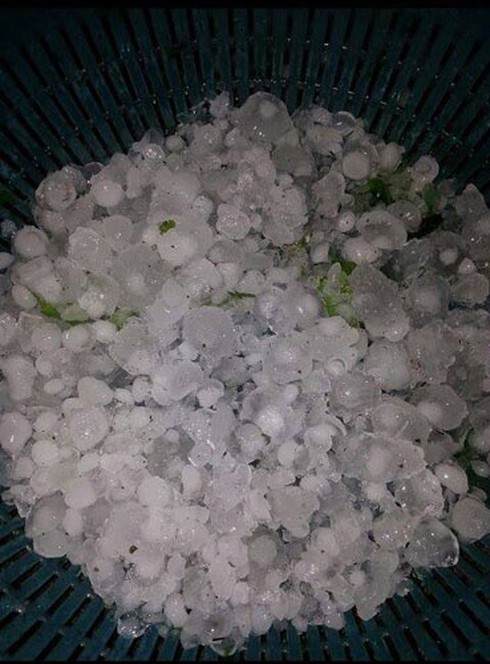 Mưa đá... như sung rụng ở Cao Bằng - ảnh 2